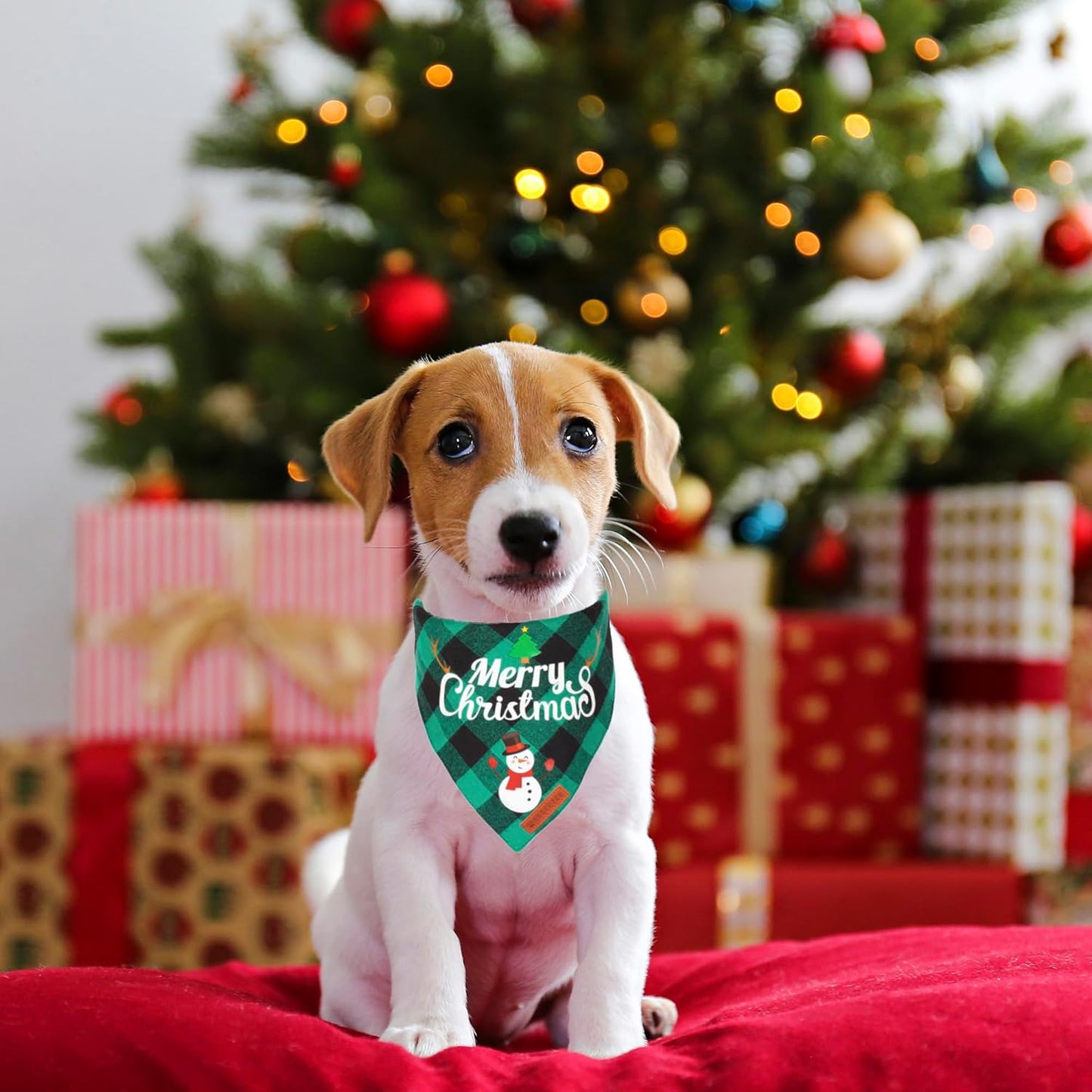 2 Pack Christmas Dog Bandana