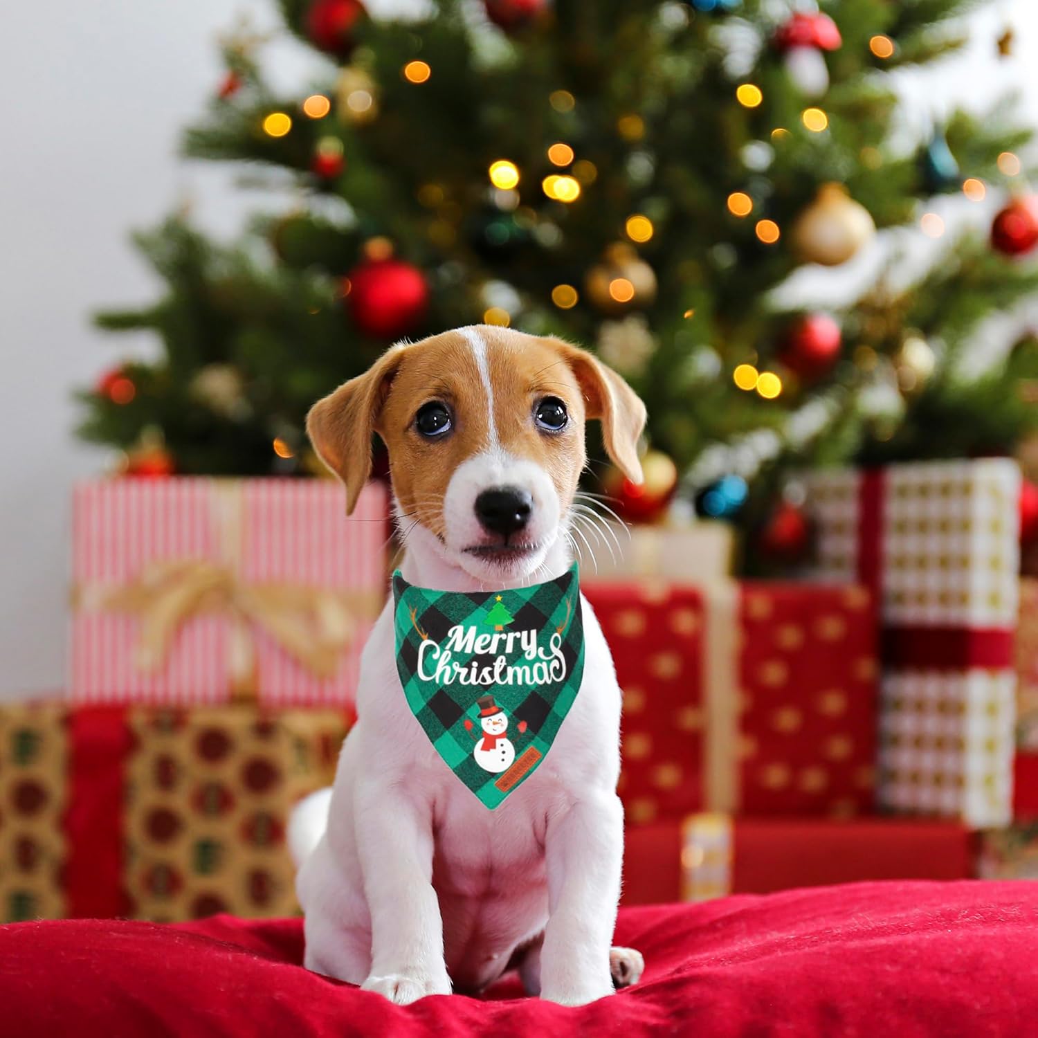 2 Pack Christmas Dog Bandana